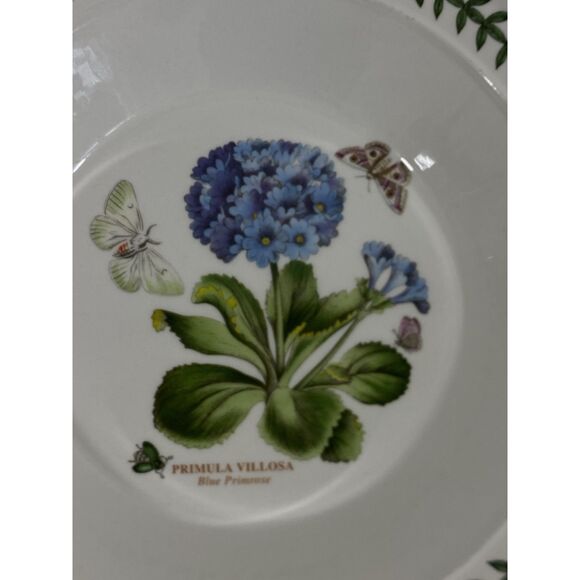 3 PORTMEIRION BOTANIC GARDEN 8 1/2" Rimmed Soup/Pasta Bowls Assorted - Picture 6 of 10